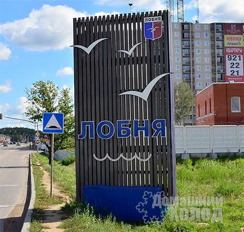 Ремонт холодильного оборудования в Лобне