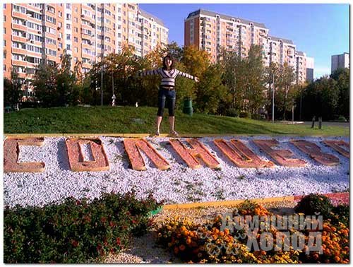 Ремонт холодильного оборудования в районе Солнцево