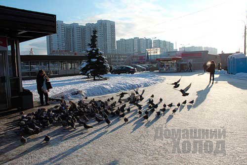 Ремонт холодильного оборудования в районе Коньково
